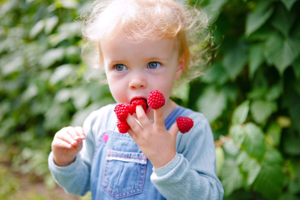 Let’s Talk Finger Foods